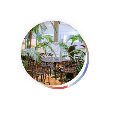 Área de descanso con plantas y mesa